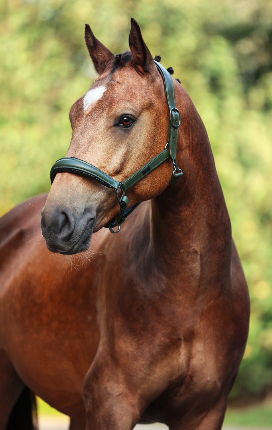Equestrian Stockholm FW'24 Striking Valley Glimmer Anatomic Leren Halter
