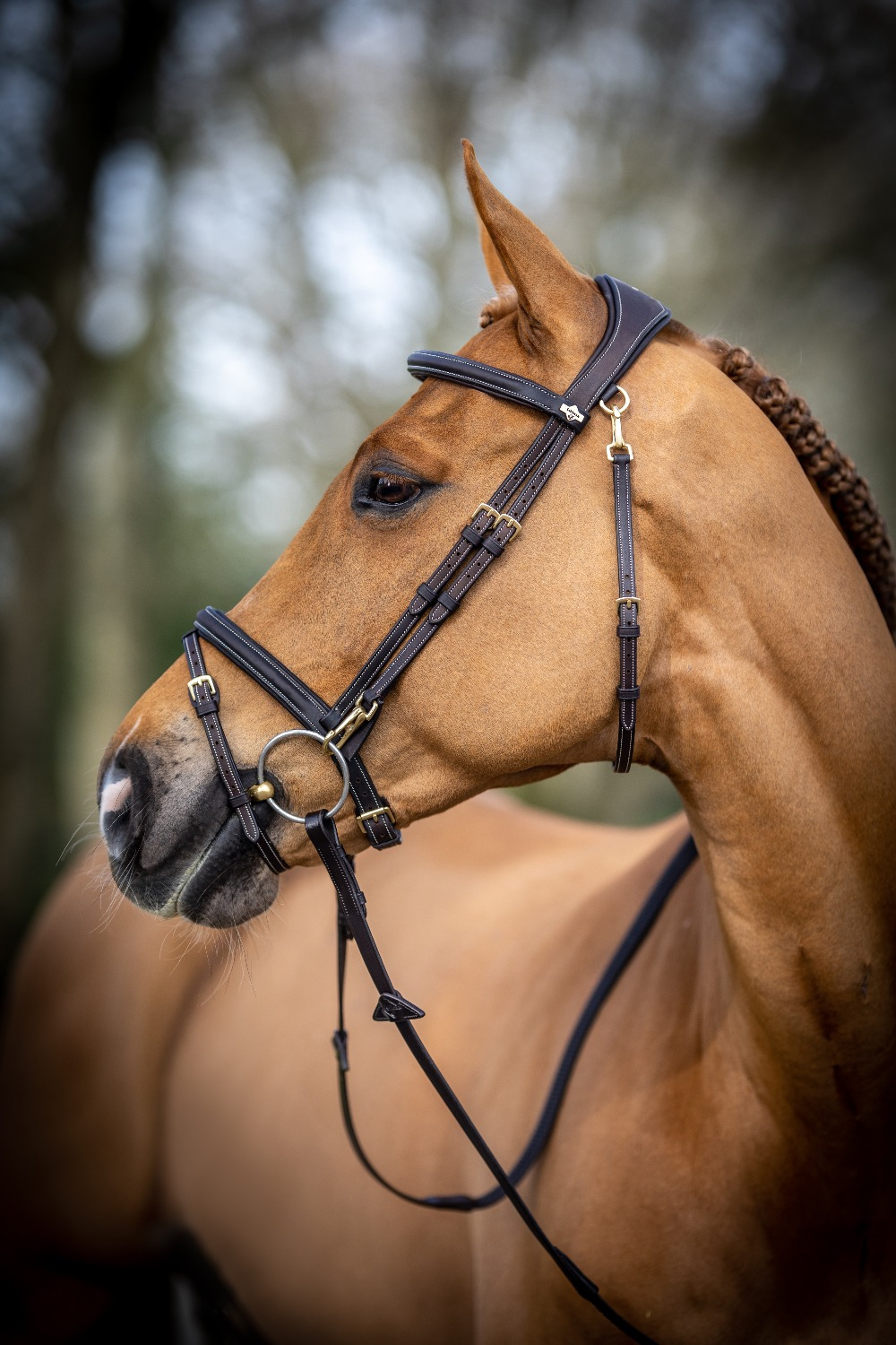LeMieux Work bridle