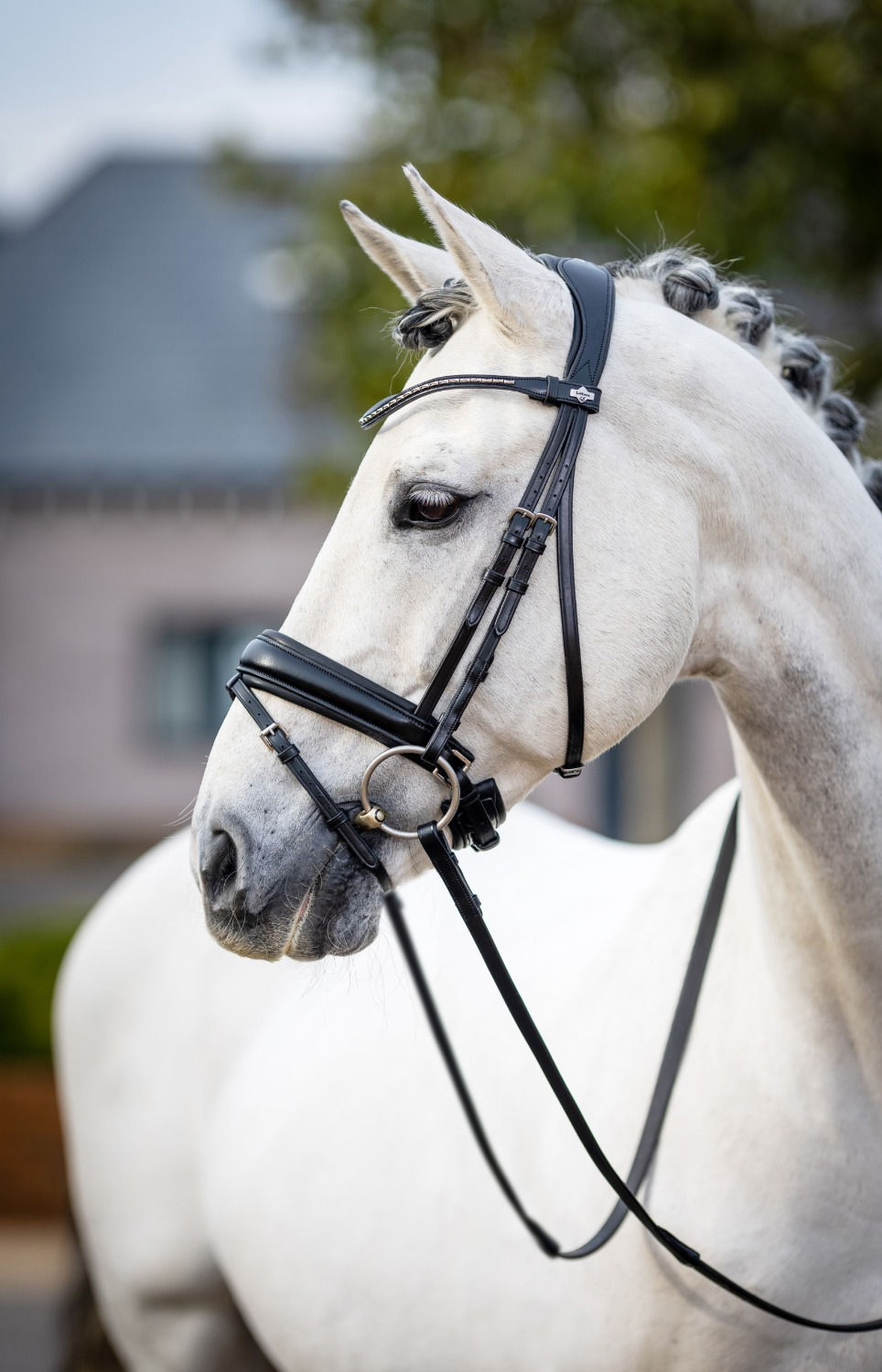 LeMieux Classic Dressage Hoofdstel
