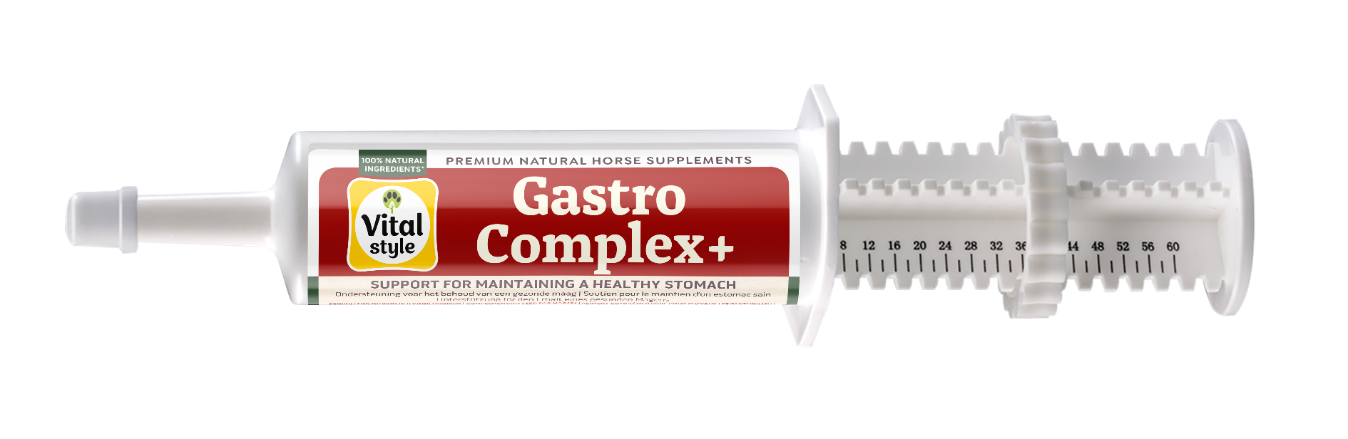 Vitalstyle GastroComplex+