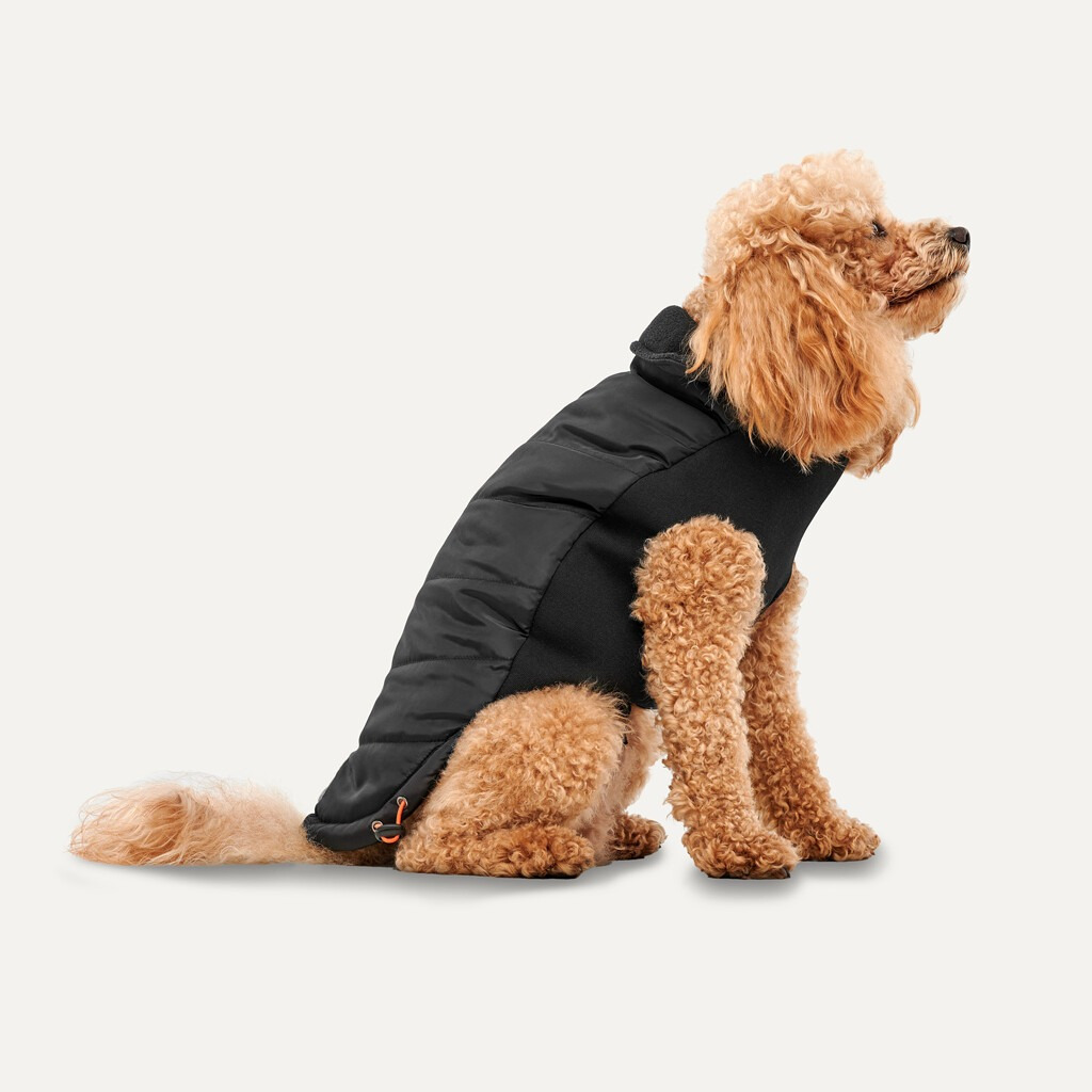 Hofman Goo-eez Hundedecke