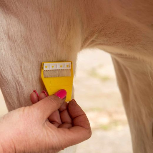 Smart Grooming Equi-Shave Box