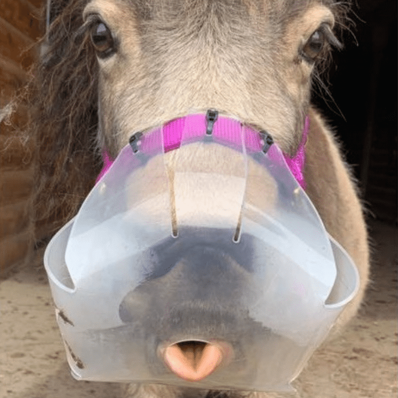 ThinLine Flexible Grazing Muzzle
