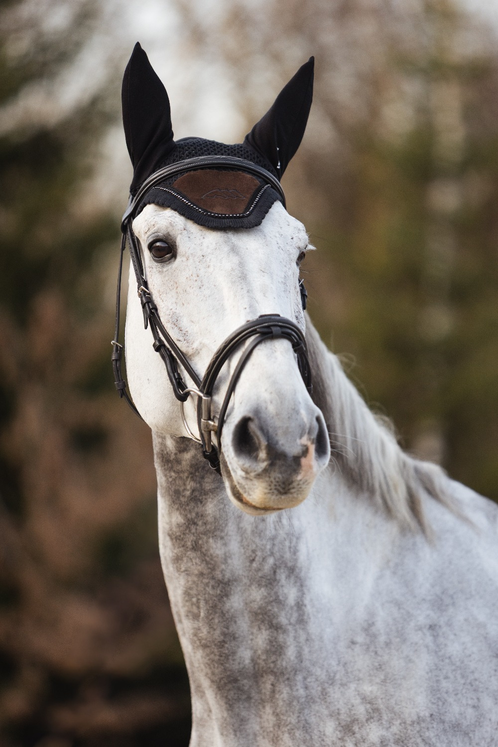 Equiline FW26 Oornetje Eqenti