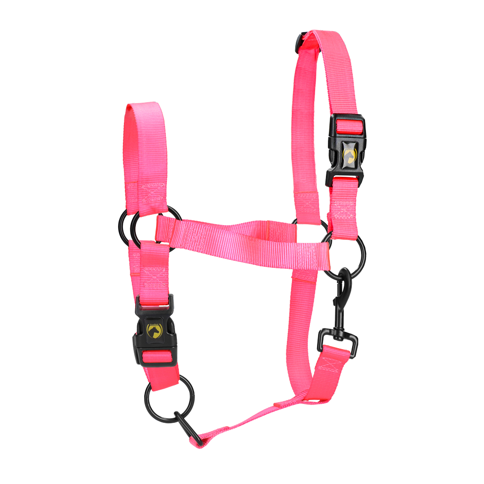 Excellent Horse Essential Halter