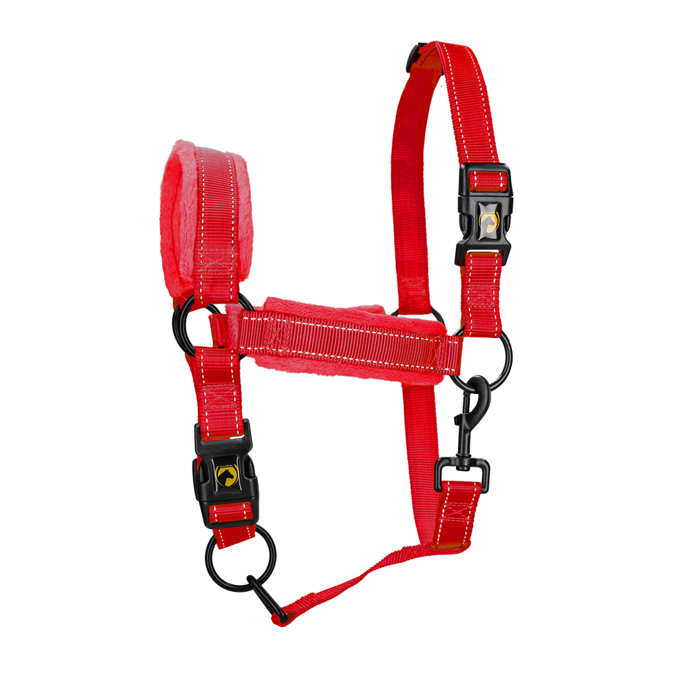 Excellent Horse Superior Halster
