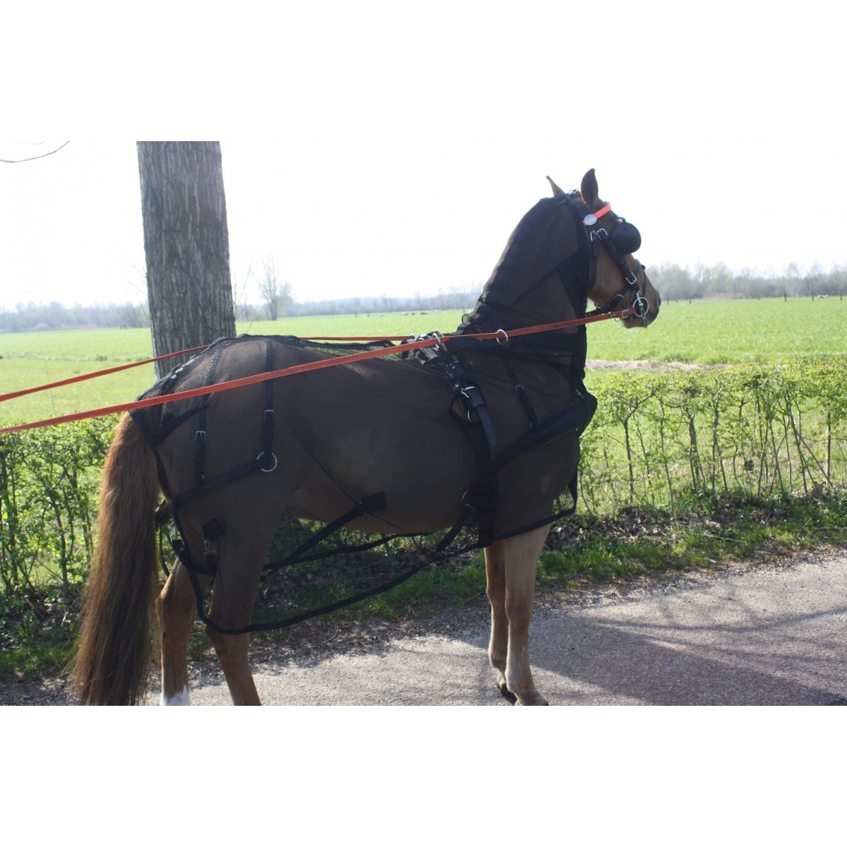 HB Men Fliegendecke mit Hals