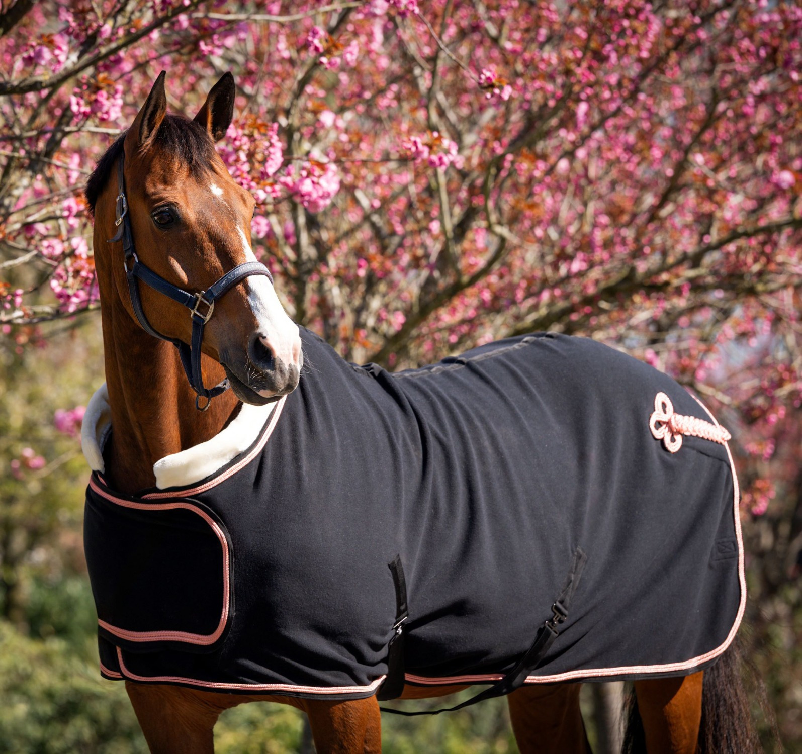 HB Showtime Show Rug Rose Gold with Neck