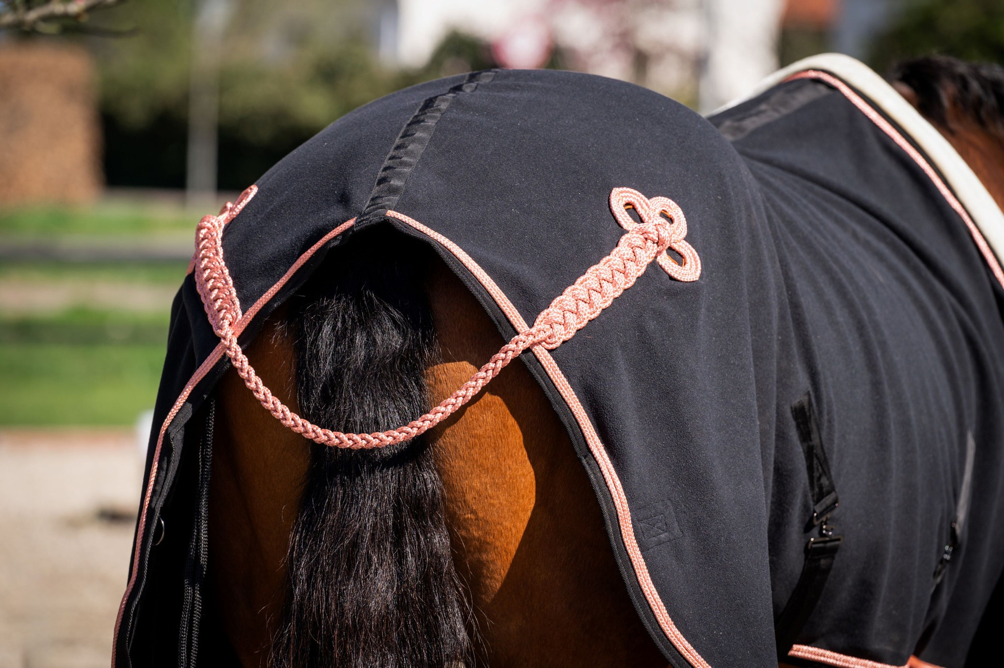 HB Showtime Show Rug Rose Gold