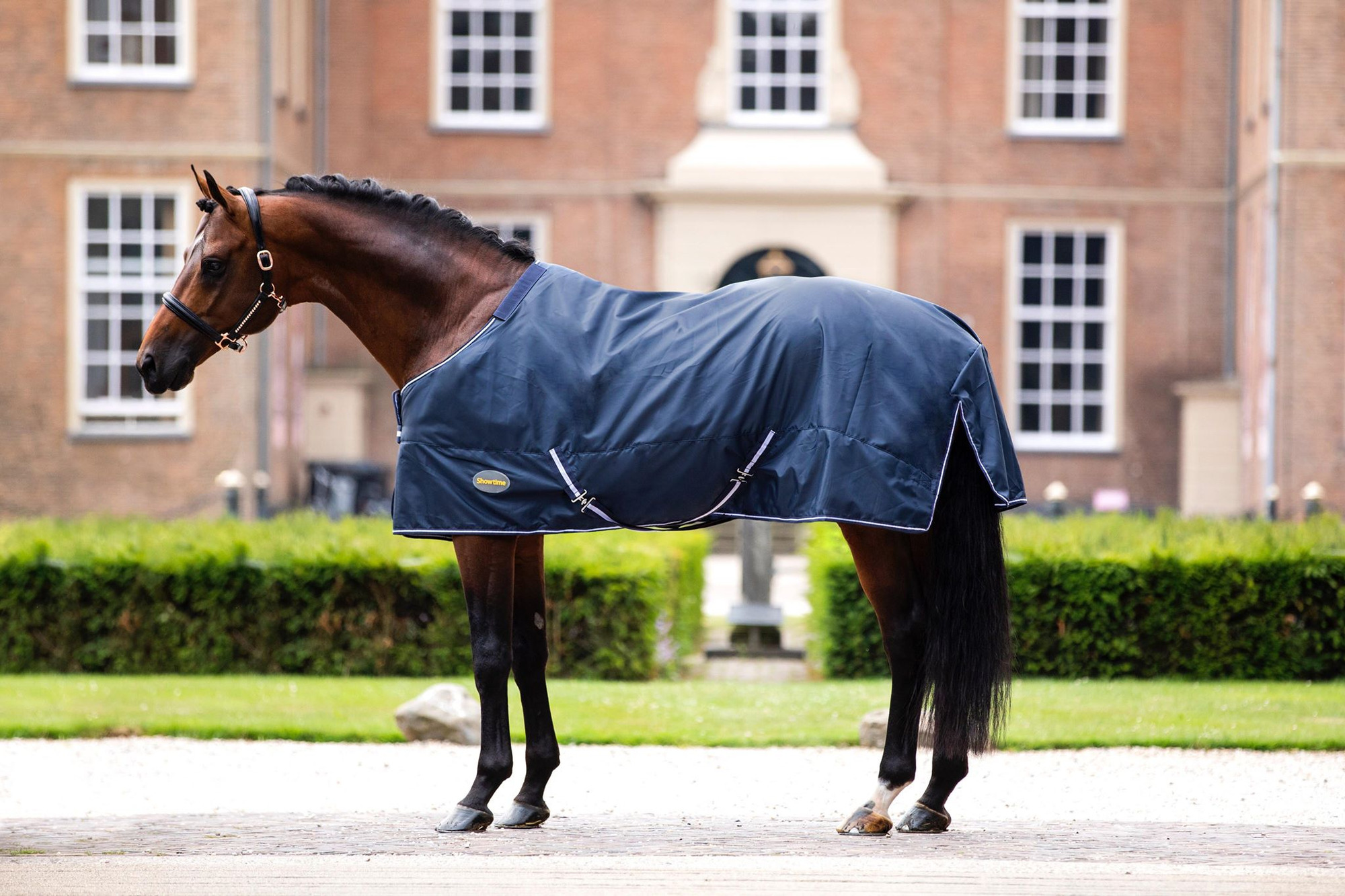 HB Showtime Goliath XL Fleece-Lined Rain Rug