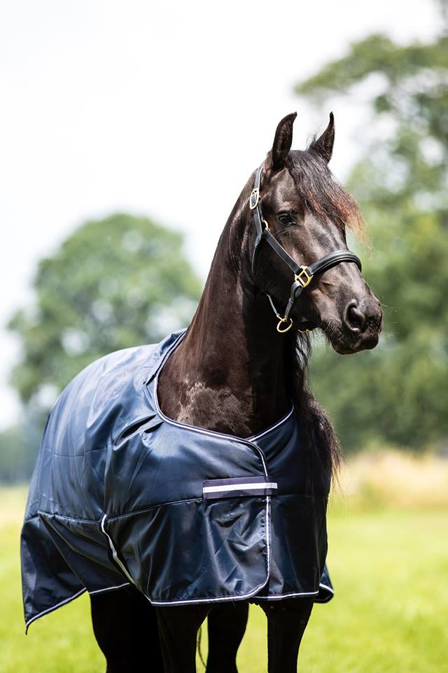 HB Showtime Goliath XL Fleece-Lined Rain Rug
