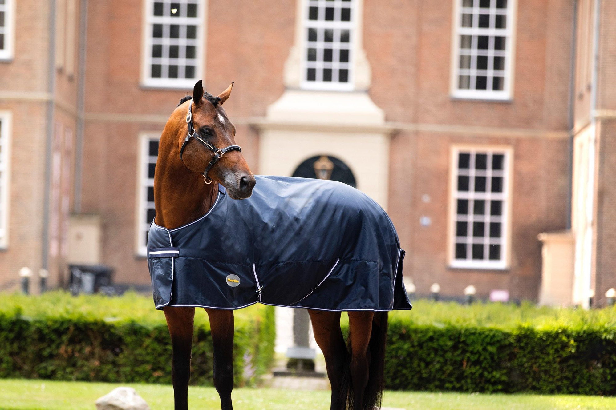 HB Showtime Goliath XL Winter Rug 300g