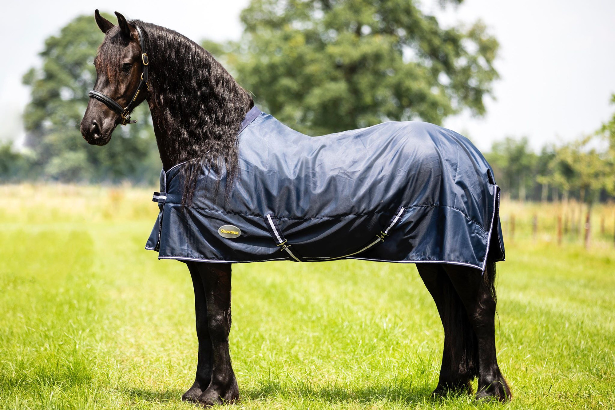 HB Showtime Goliath XL Winter Rug 300g