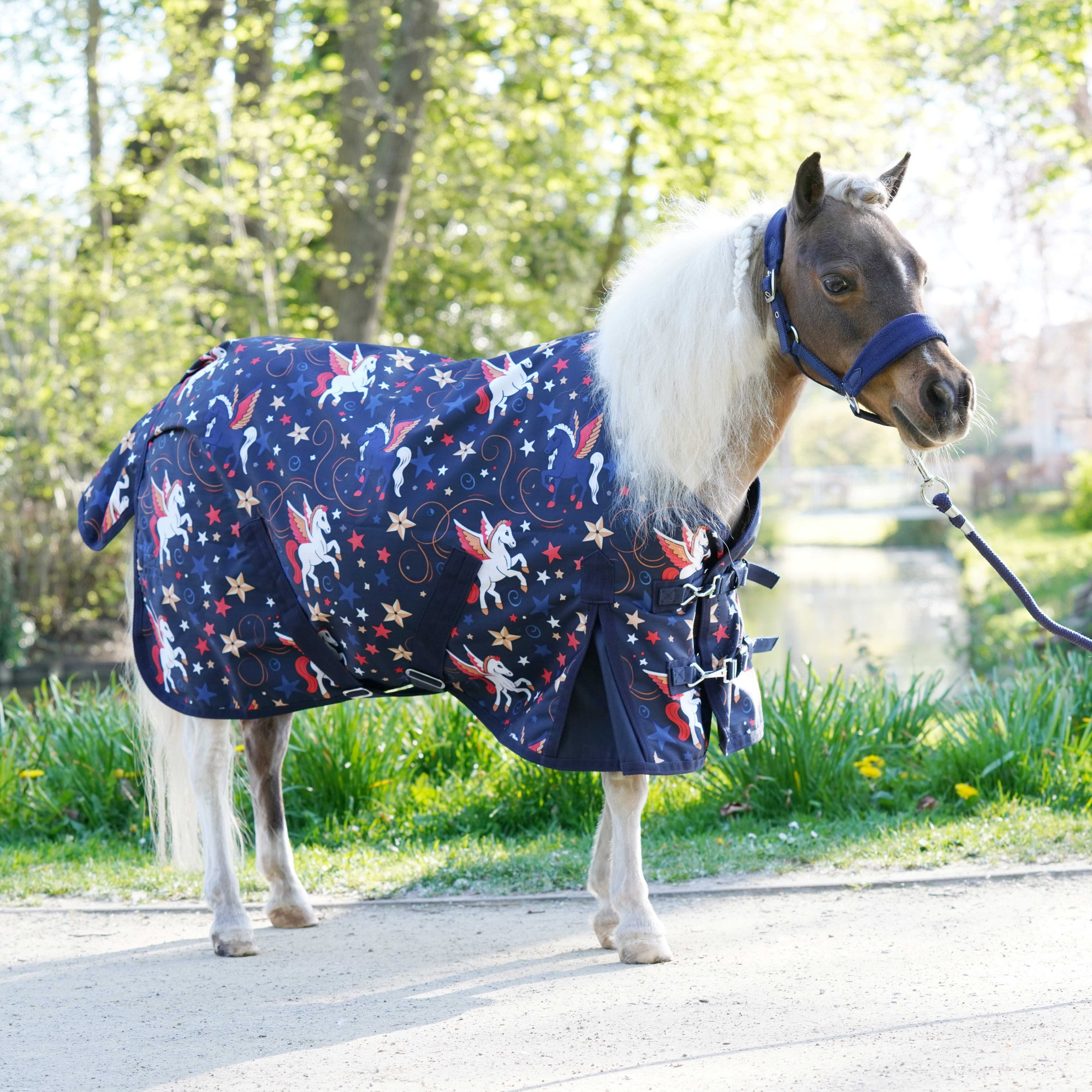 HB Outdoor Rug Flying Horse Little Sizes 0g