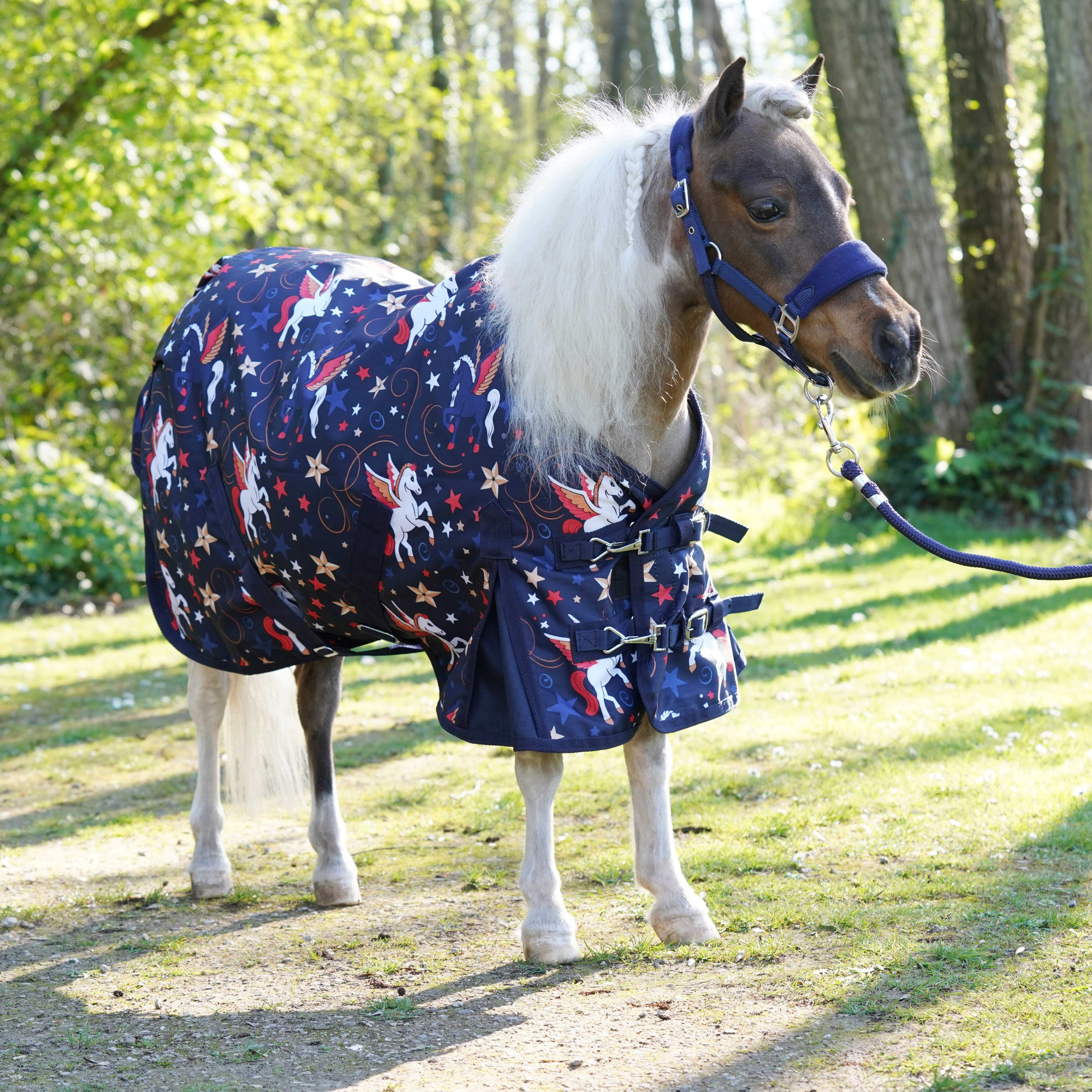 HB Outdoor Rug Flying Horse Little Sizes 0g
