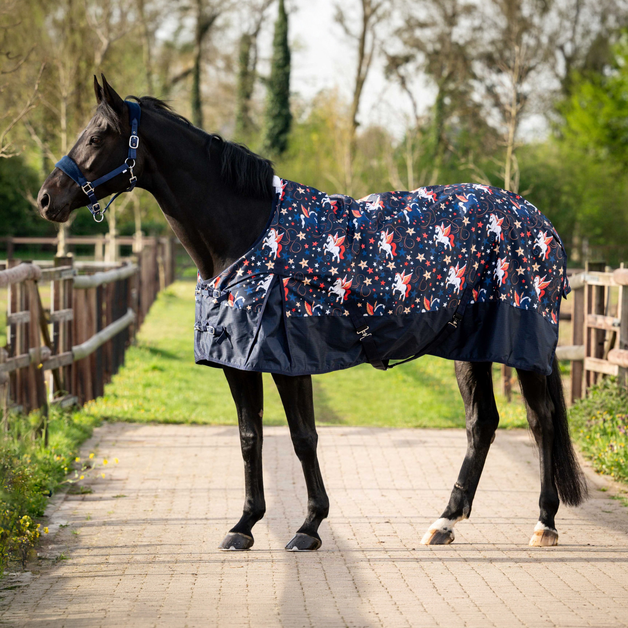 HB Outdoor Rug Flying Horse 0g