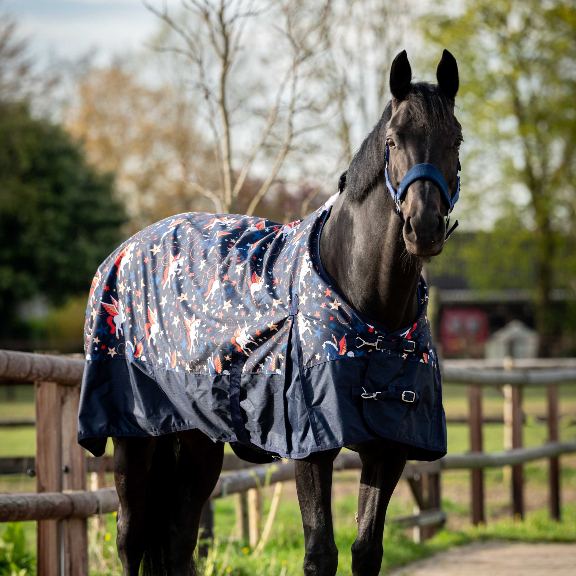 HB Outdoor Rug Flying Horse 0g