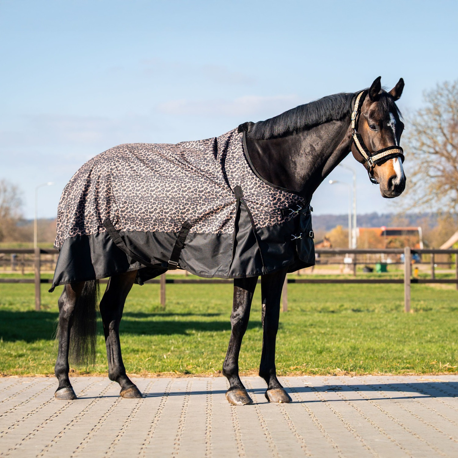 HB Outdoor Rug Leopard 0g