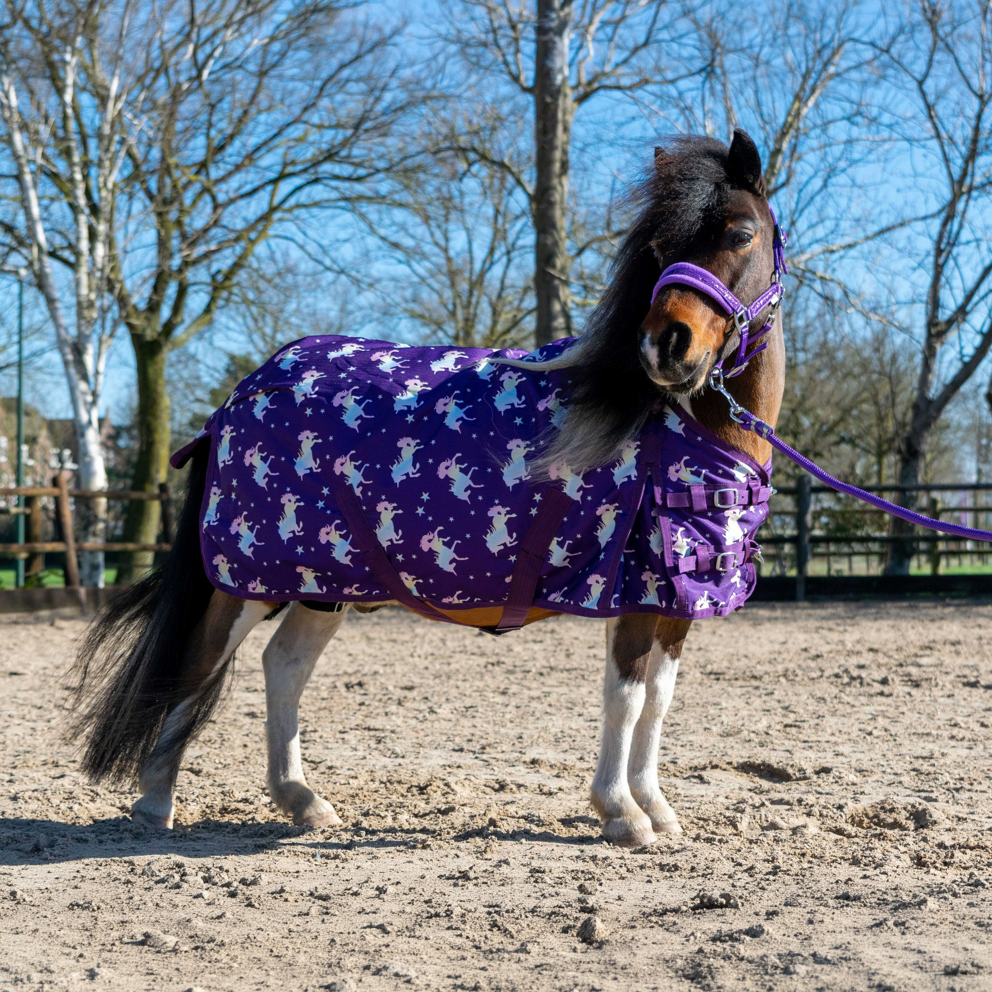 HB Turnout Rug Harry and Hector Flying Unicorn 200g
