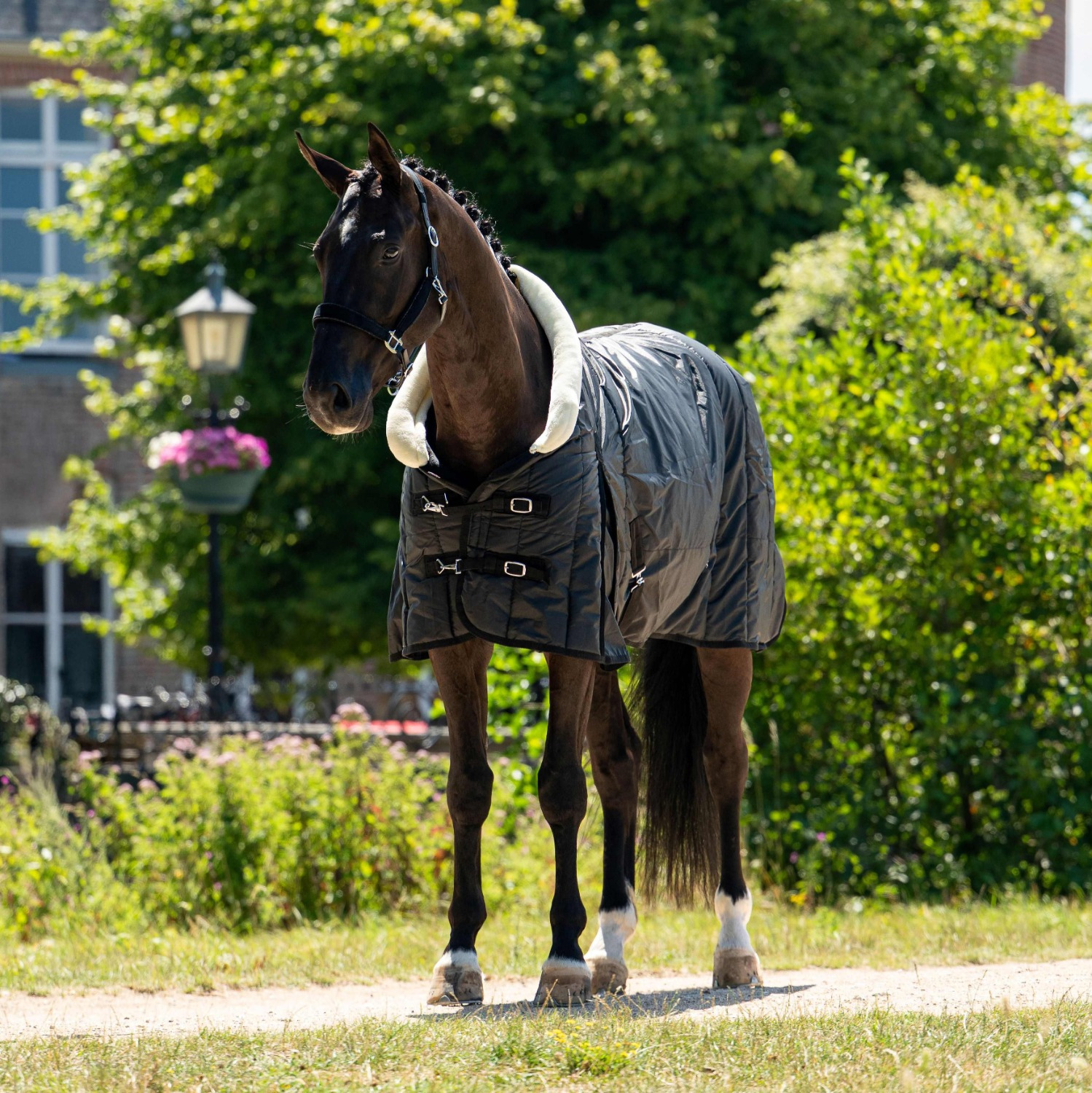 HB Showtime Show Rug Fluffy Hood