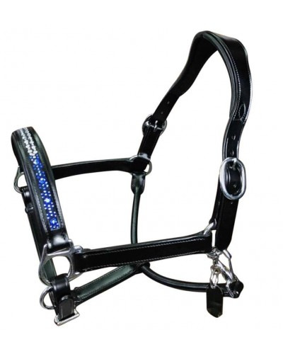 HB Showtime Anatomic Dutch Crown Leather Halster