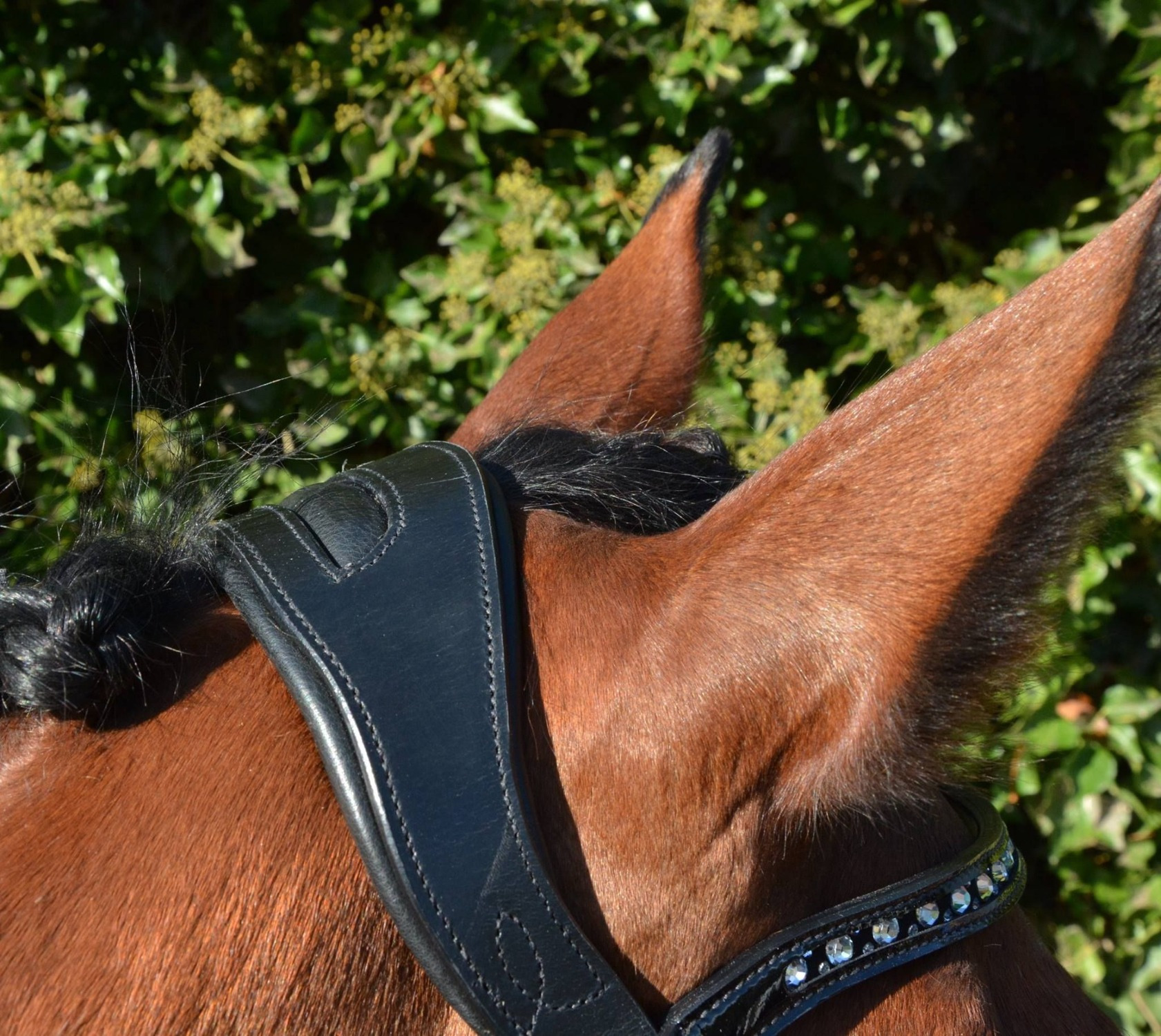 HB Showtime Loose Anatomical Headpieces - Weymouth & Bradoon