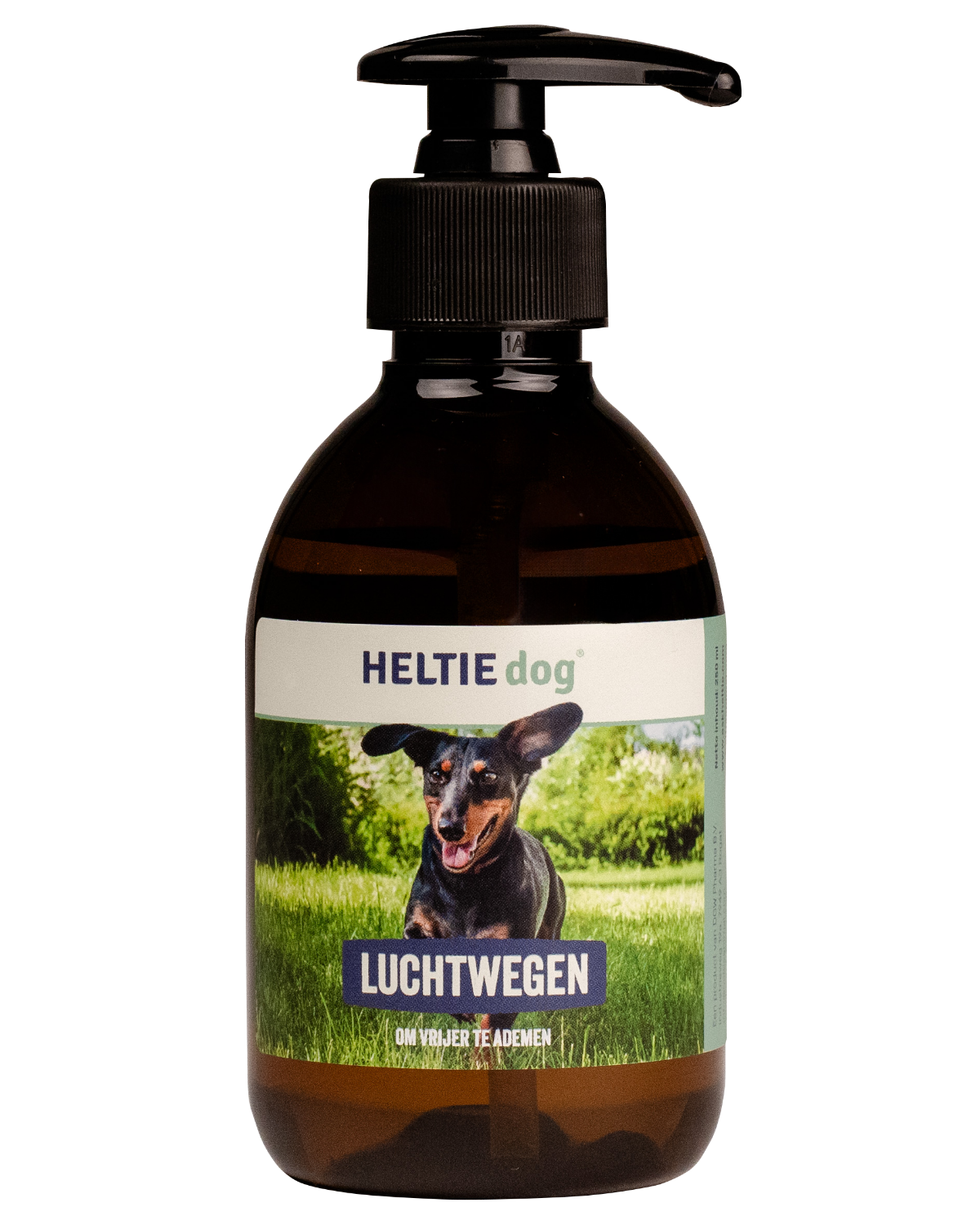 HELTIE dog Atemwege