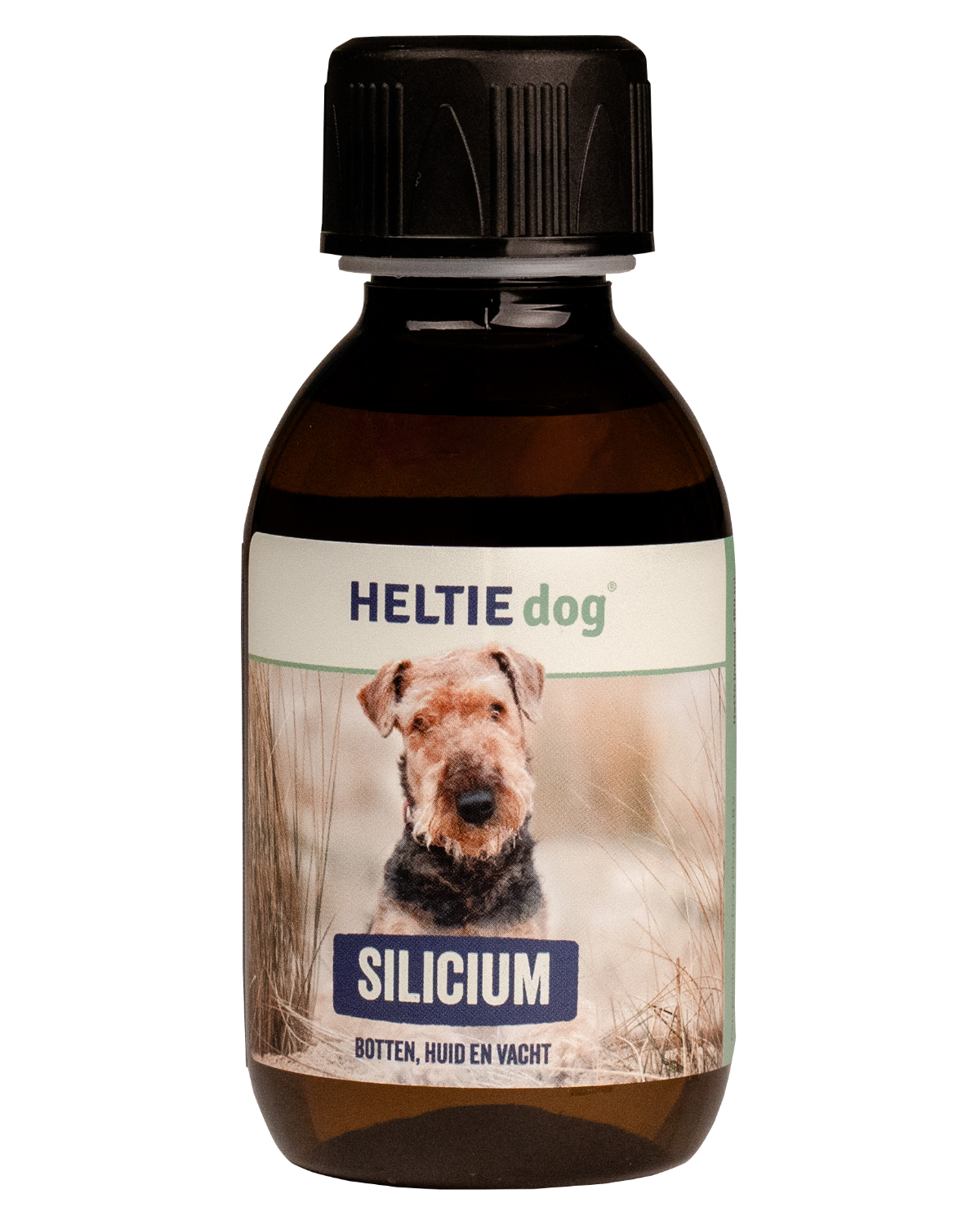 HELTIE dog Silizium
