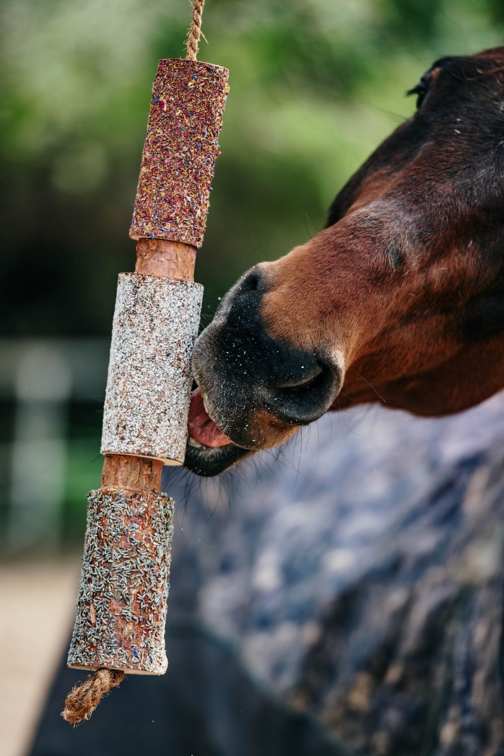 Herbi Horse Kruiden hout Knabbel Speelgoed Relax