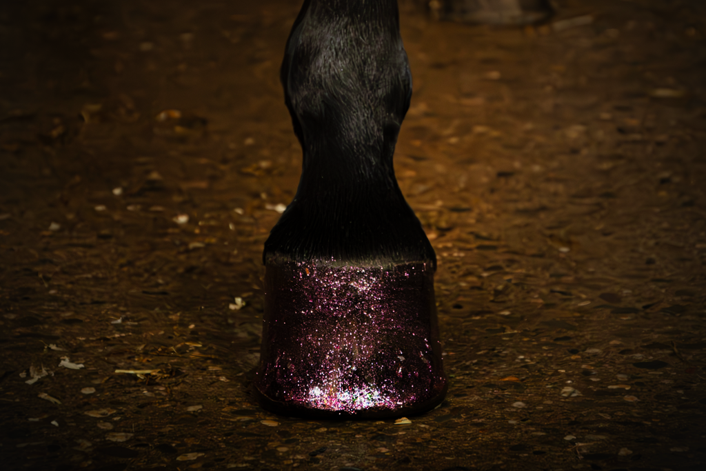 High Gloss Glitter Hoof Polish