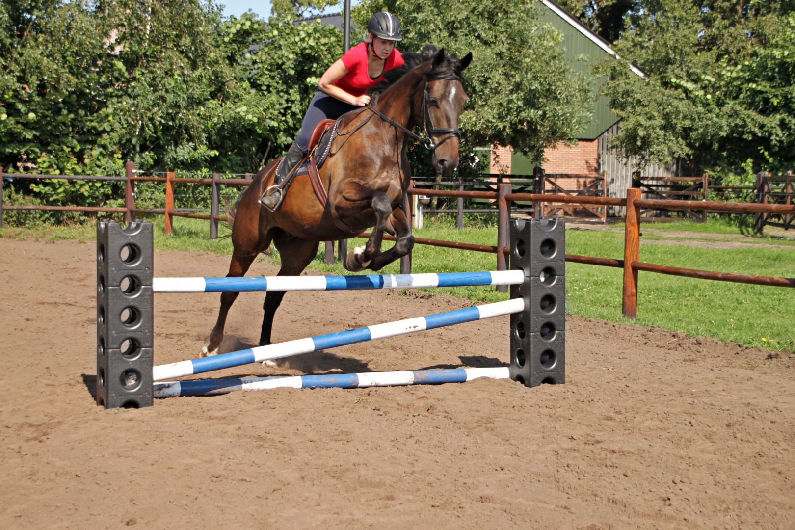 Horse Cube Jump Block