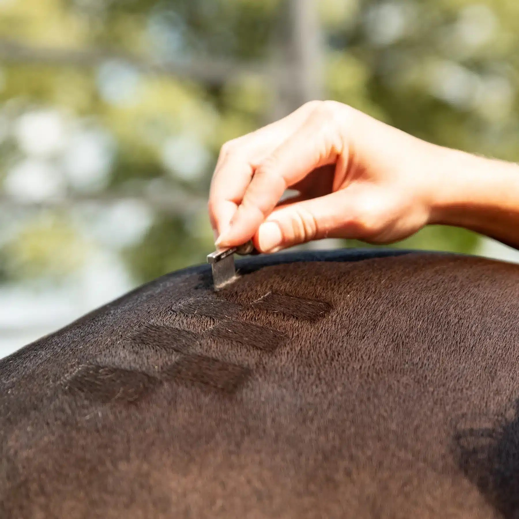 Smart Grooming Quarter Marking Comb
