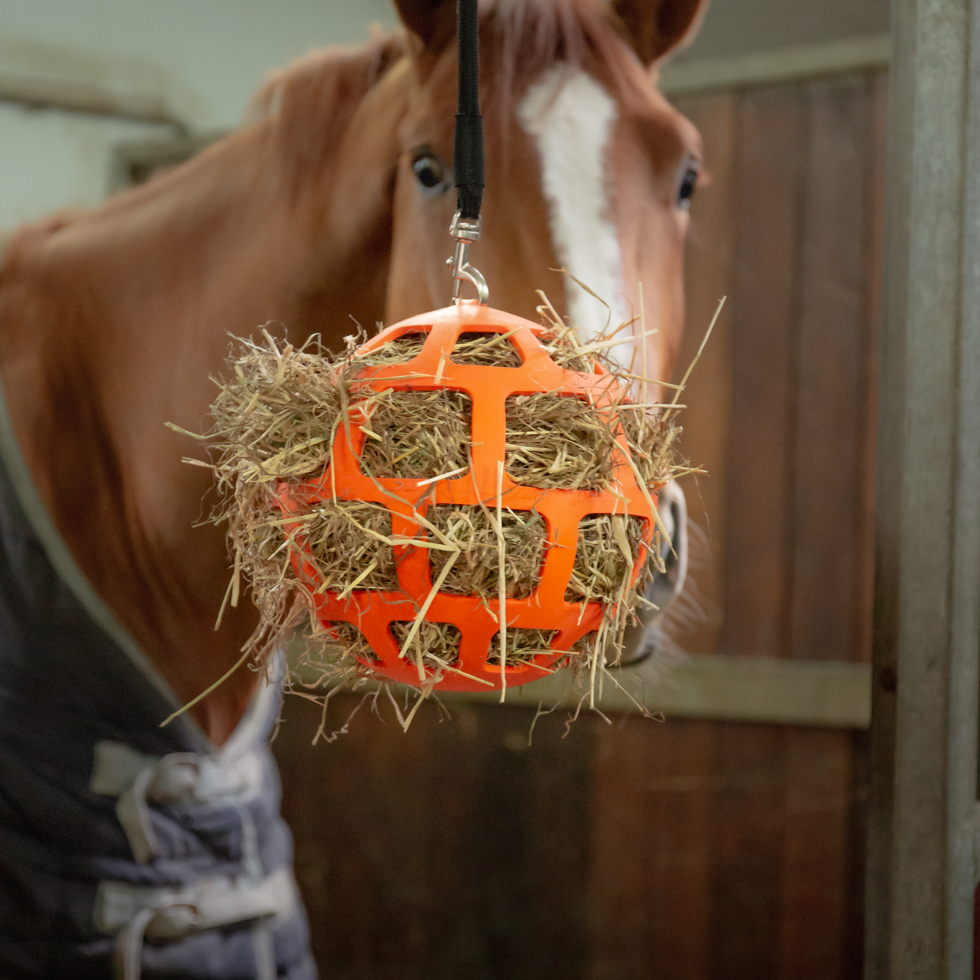 Hay Slow Feeder Fun and Flex 22 cm