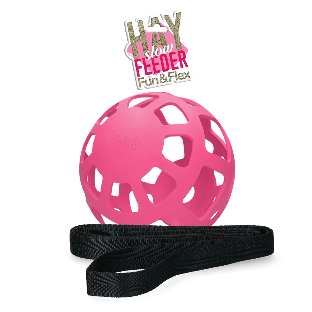 Hay Slow Feeder Fun and Flex 22 cm