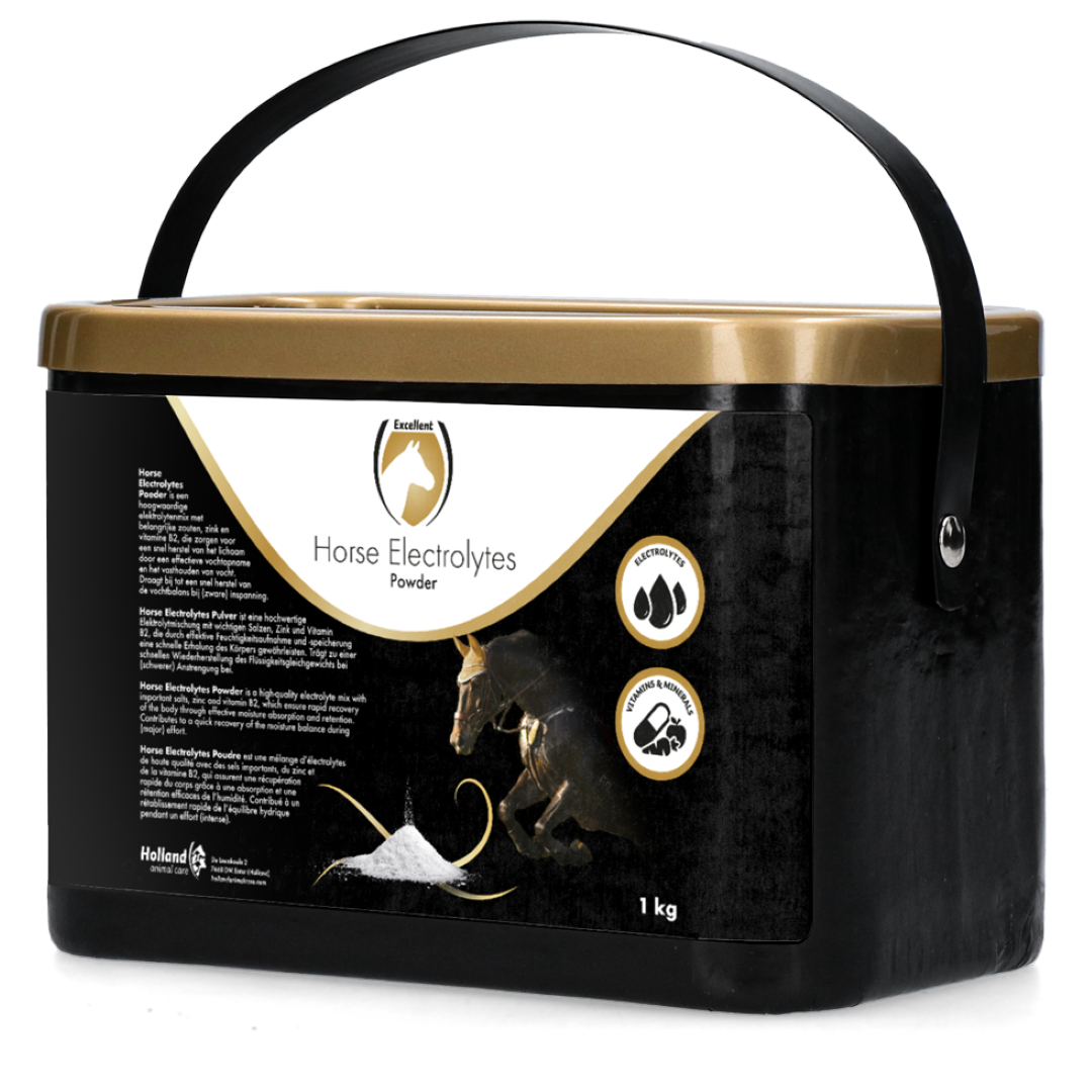 Excellent Horse Electrolyte Powder with B2, Bucket