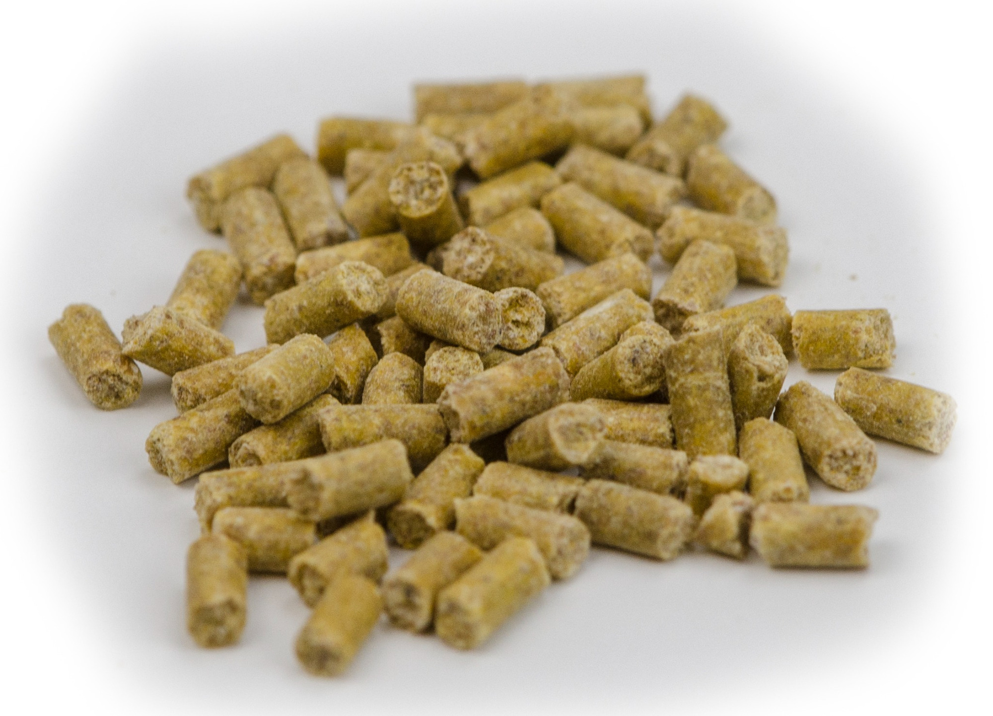 Excellent Horse Electrolytes Pellets Bucket 1kg