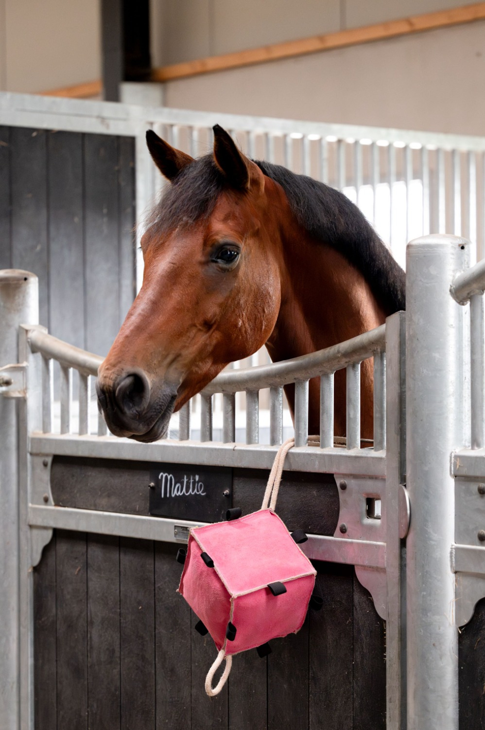 HB Showtime Horse Toy Cube