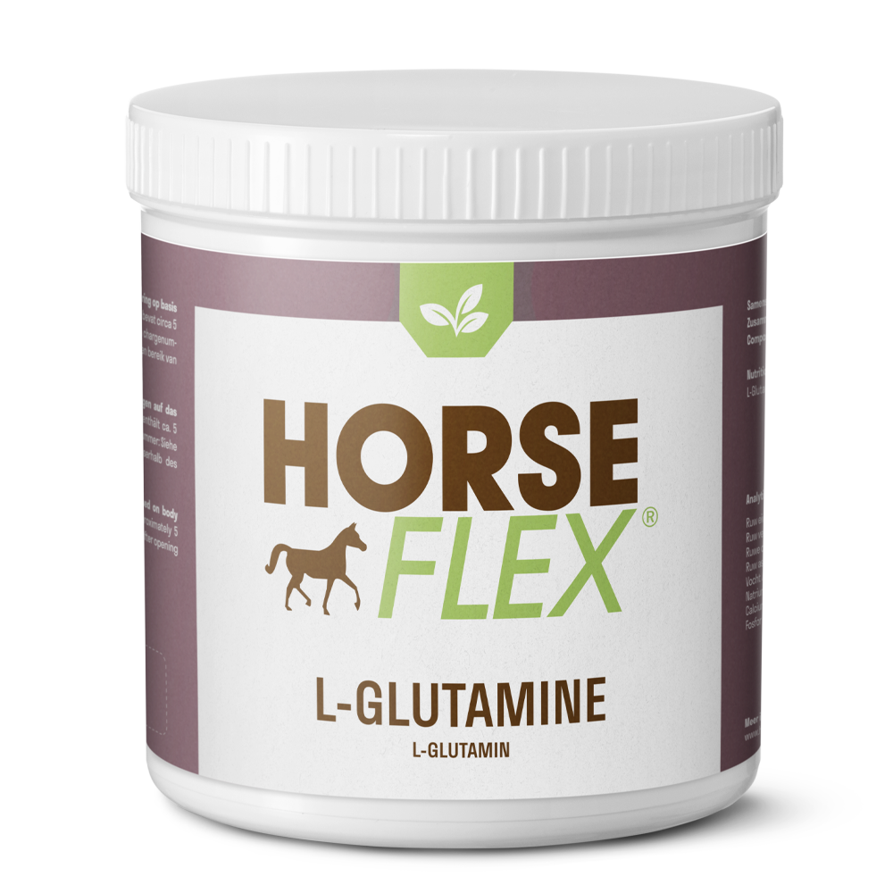 HorseFlex L-Glutamine