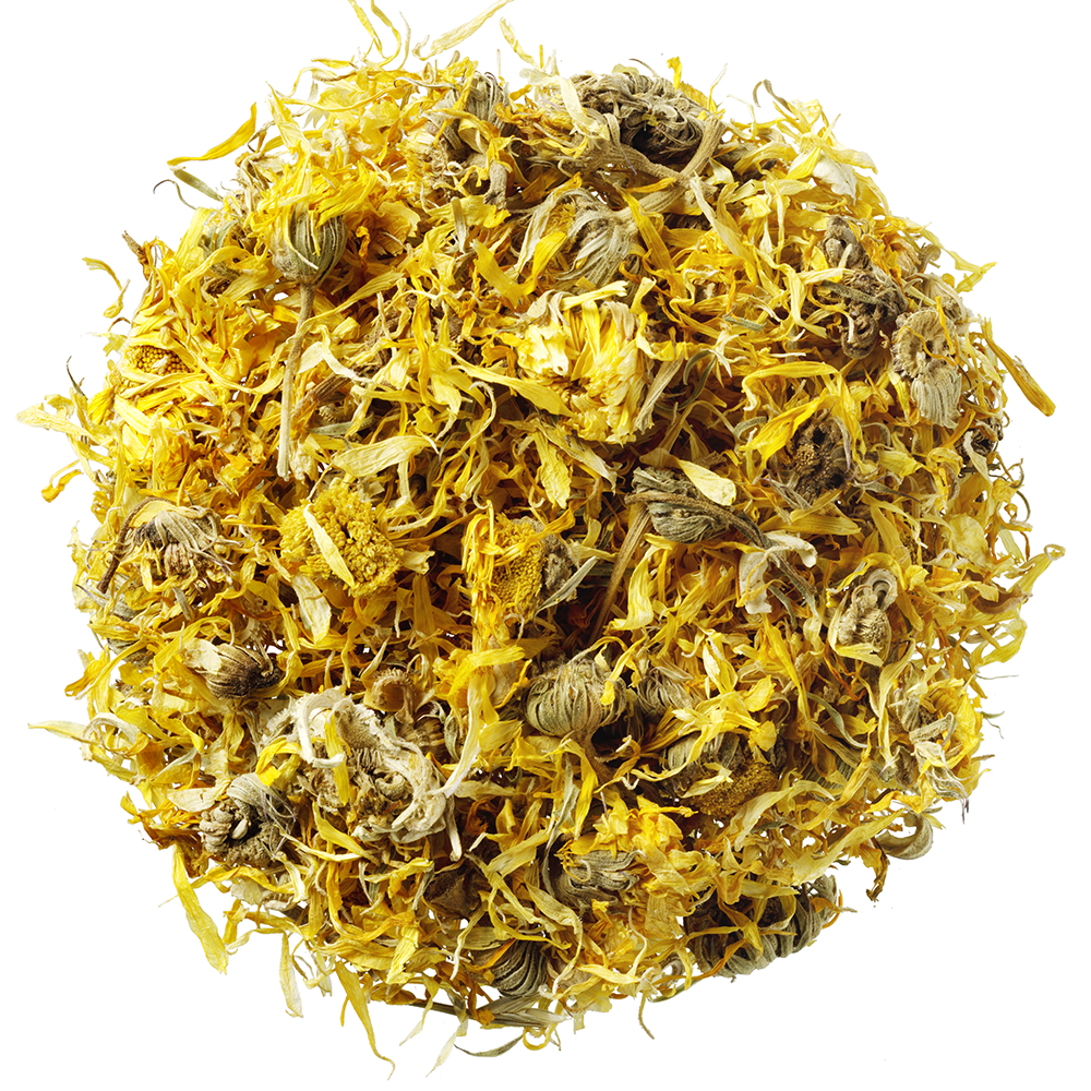 HorseFlex Calendula