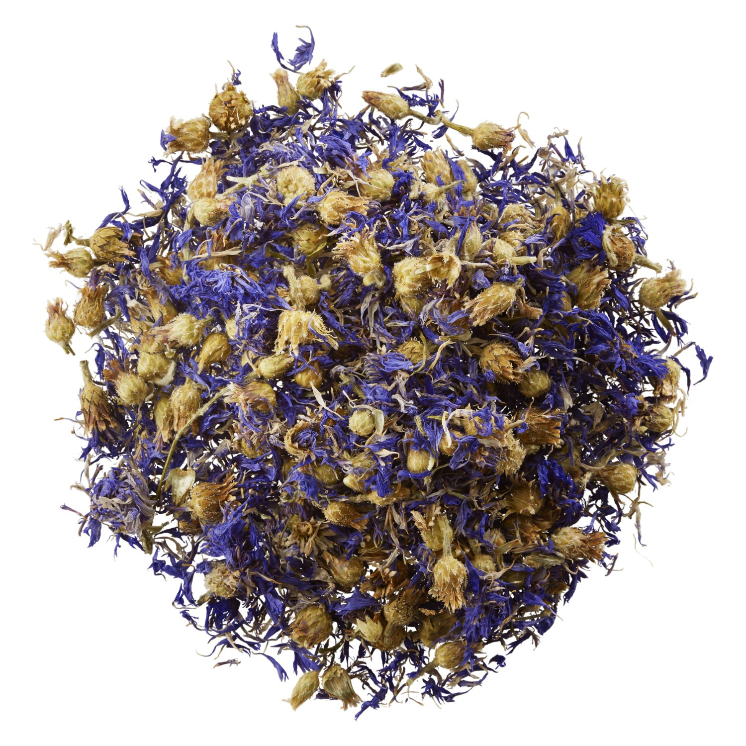 HorseFlex Cornflower
