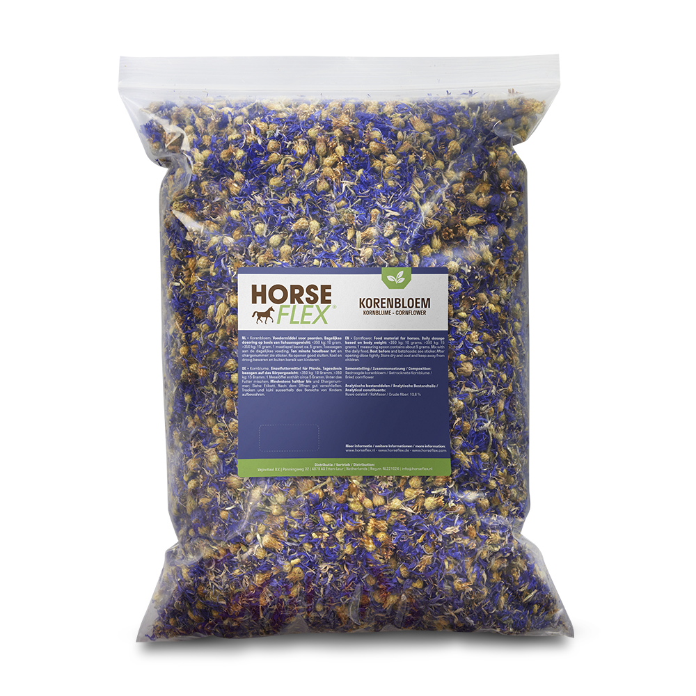 HorseFlex Cornflower