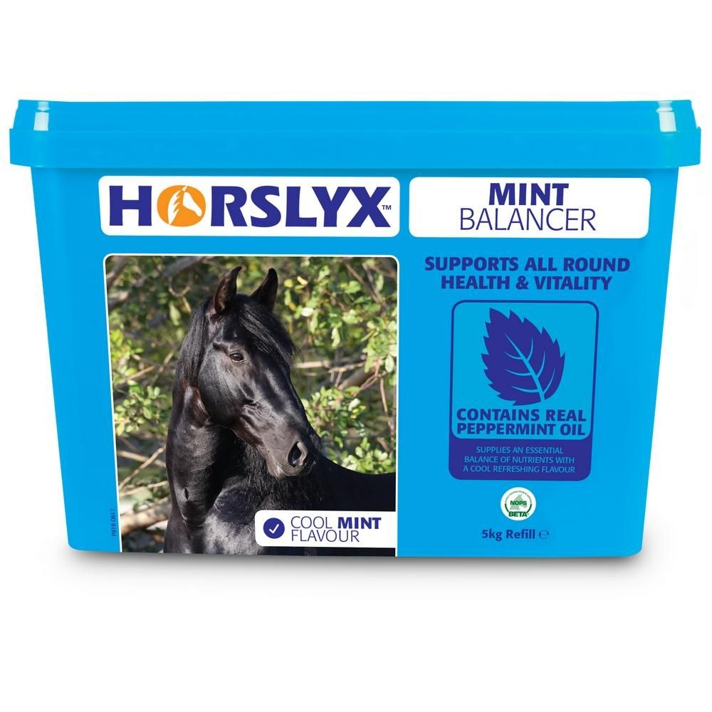 Horslyx Mint Balancer 
