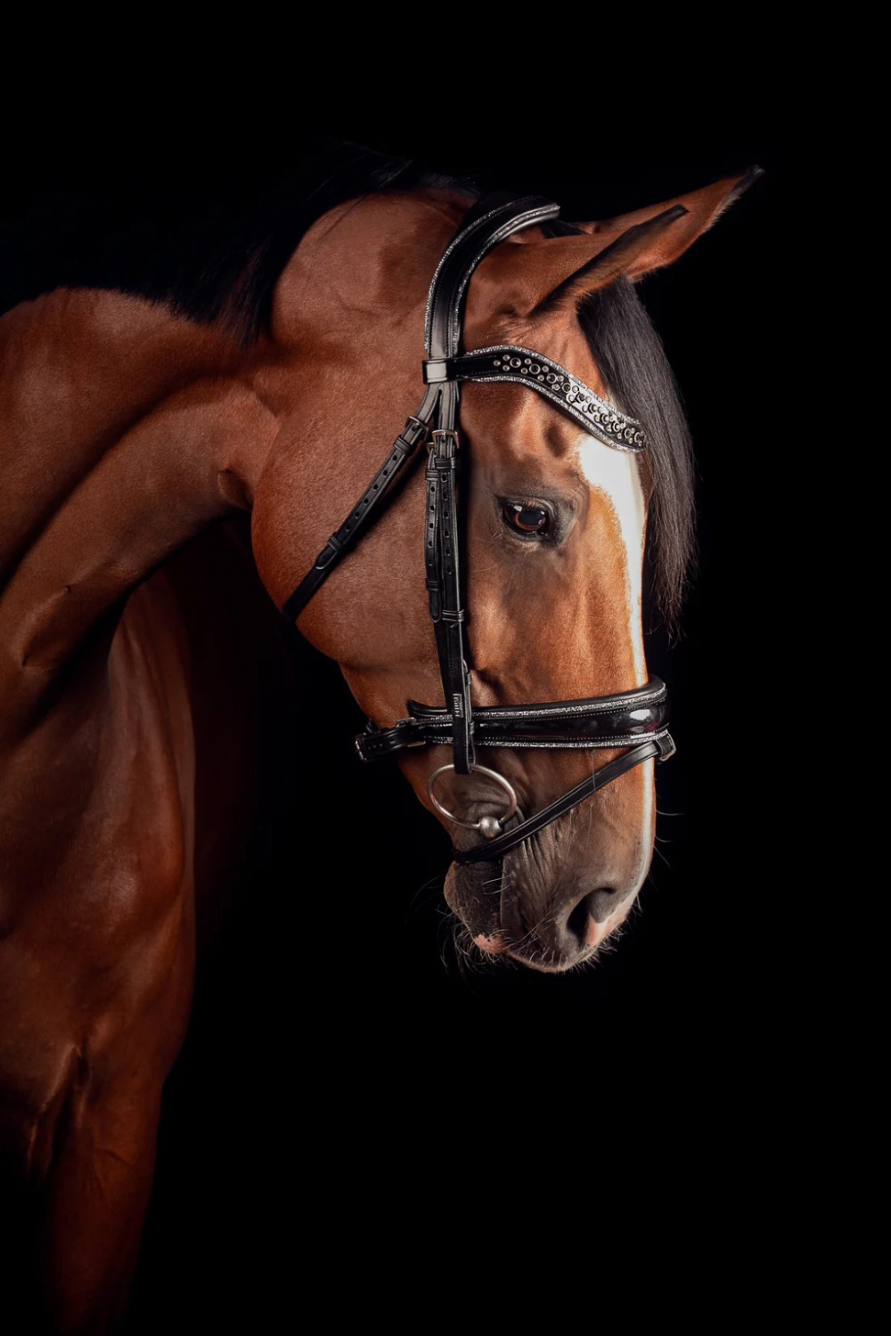 Mrs. Ros Johnny Silver Bridle