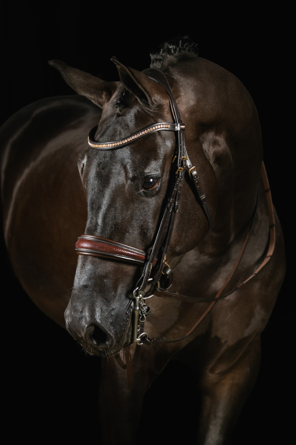 Mrs. Ros Double Bridle Knight Power Deluxe 