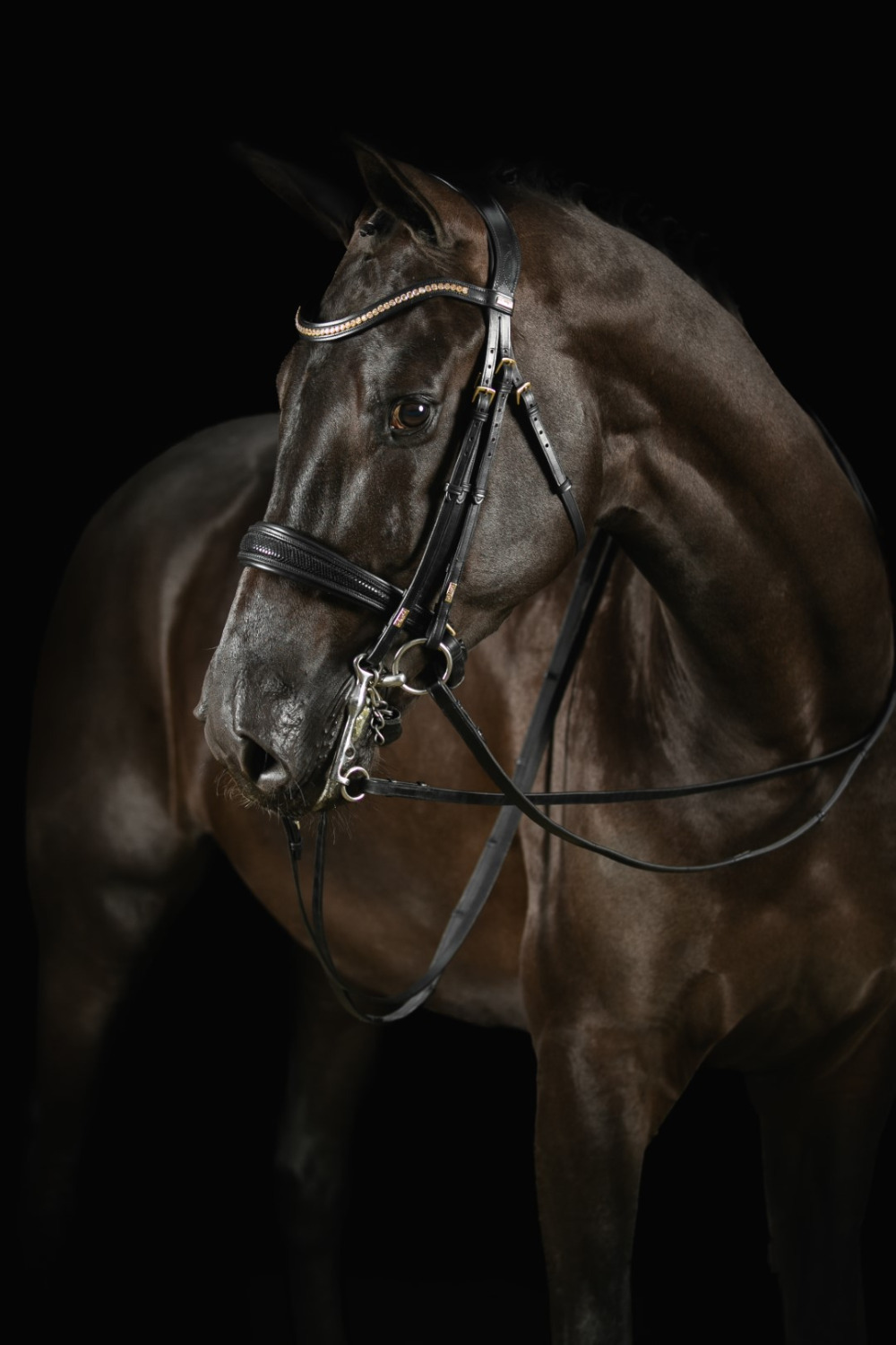 Mrs. Ros Double Bridle Knight Power Deluxe 