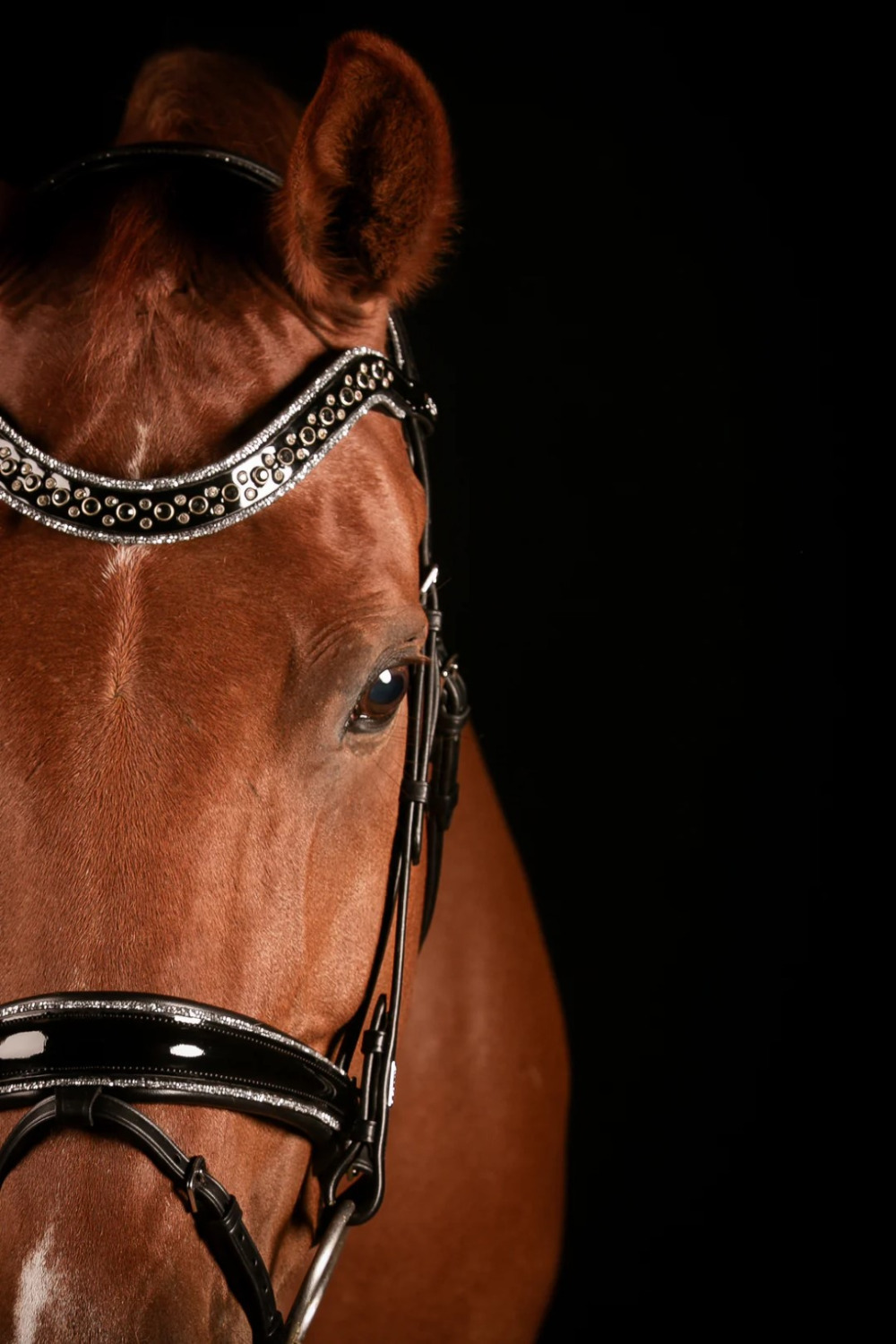 Mrs. Ros Johnny Silver Bridle