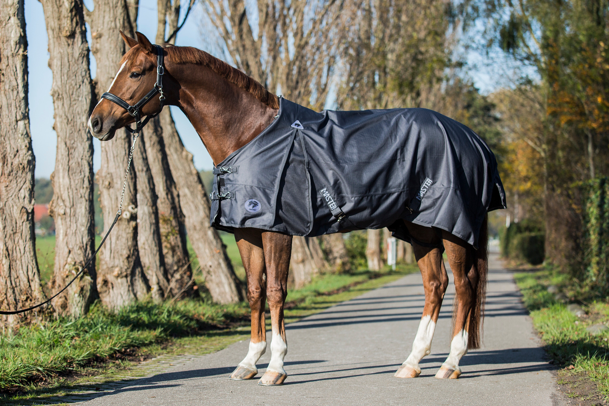 MASTER Turnout Rug Metallic Grey 0g