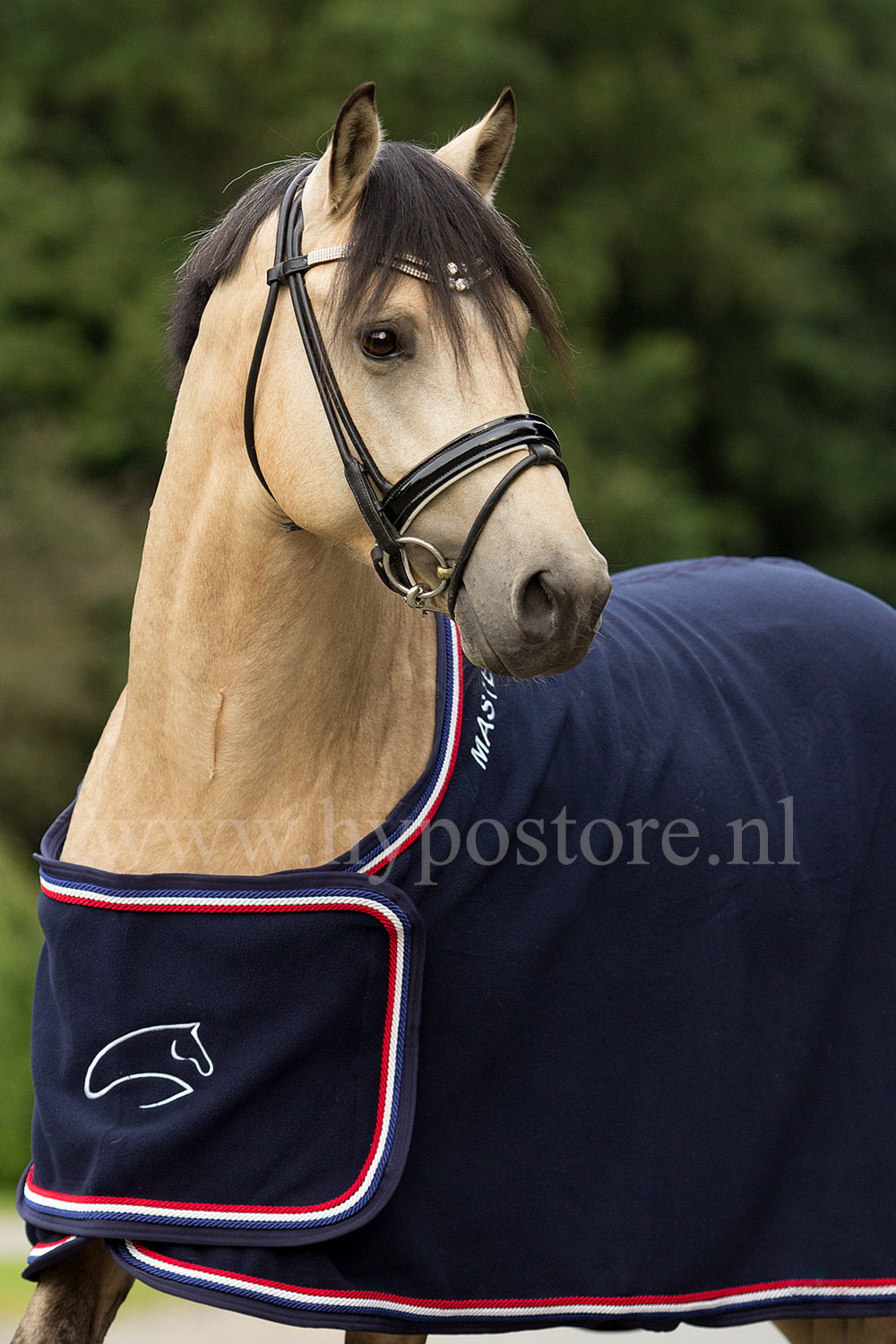 MASTER Fleece HypoStore Show Rug Blue