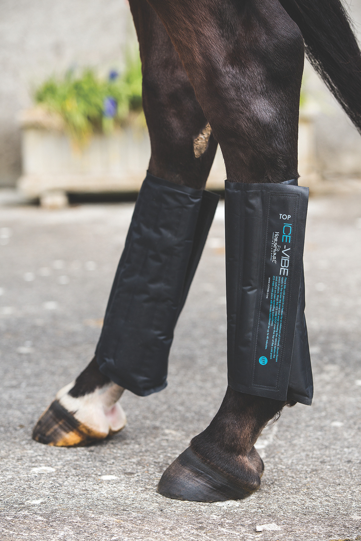 Horseware Ice-Vibe Cold Pack (set of 2 pieces)