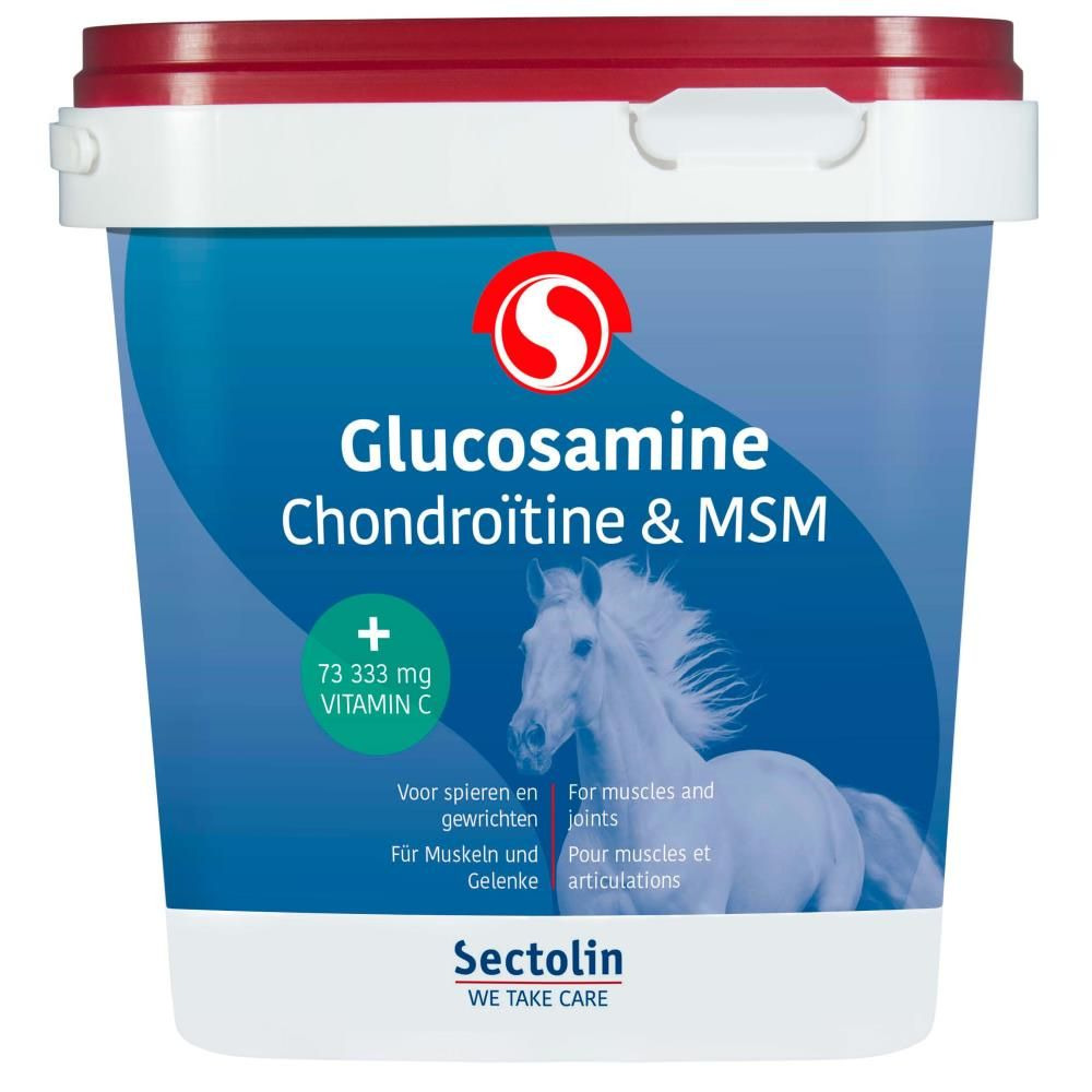 Equivital Glucosamine, Chondroïtine & MSM